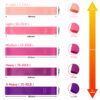 5 Levels Fitness Yoga Resistance Loop Bands