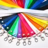 Custom Full-Color Lanyard with Badge Reel and ID Holder