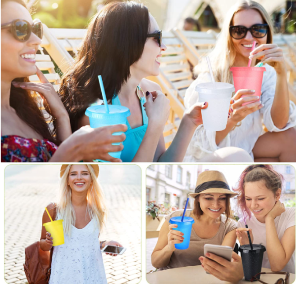 BPAS012-11 Custom Reusable BPA-Free AS Plastic Straw Tumbler Cup with Lid