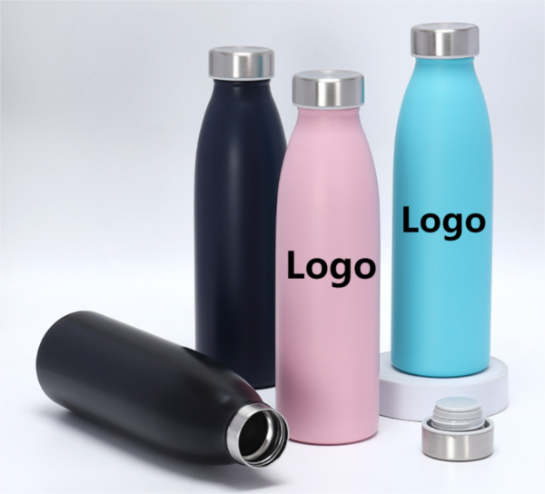 BPAS022-01 Custom Double Wall Stainless Steel Water Bottle with Leak-Proof Lid