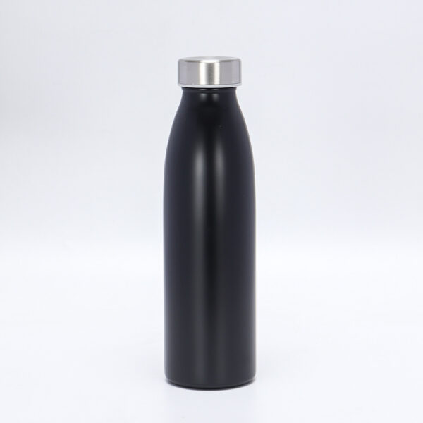 BPAS022-02 Custom Double Wall Stainless Steel Water Bottle with Leak-Proof Lid