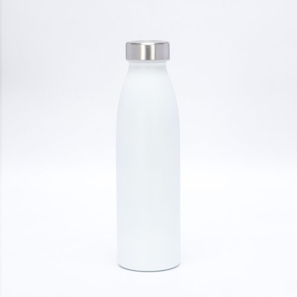 BPAS022-04 Custom Double Wall Stainless Steel Water Bottle with Leak-Proof Lid