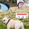 Custom Retractable Dog Leash with Ergonomic Handle and Logo