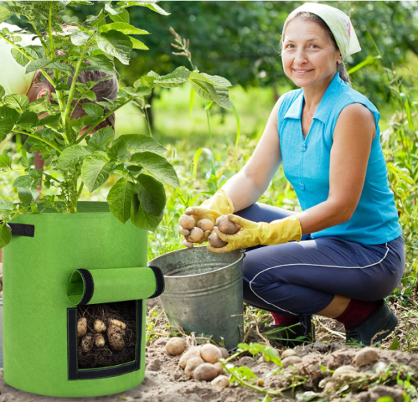 BPAS039-03 収穫窓付きカスタム・フェルト製ポテト栽培バッグ